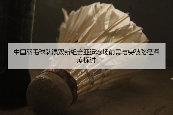 中国羽毛球队混双新组合亚运赛场前景与突破路径深度探讨 | Bandao Sports